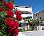 Appartement Kornic Apartamento de vacaciones Appartement Kornic, Croacia, Golfo de Kvarner, Krk, Kornic: Haus Kroatien Kornic Insel Krk
